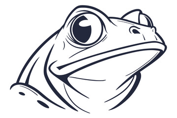 Line drawing of a frog's head shows its eye, snout, and skin details