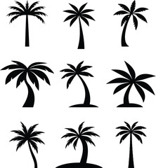 Vector Silhouettes of Diverse Tropical Palm Trees and Foliage. Minimal Palm Tree Icon.