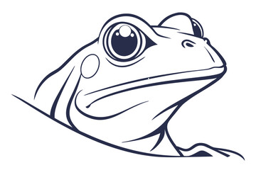 Stylized depiction shows black and white portrait of a frog looking towards the left