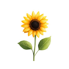 Obraz premium Vibrant sunflower with green leaves on a black background