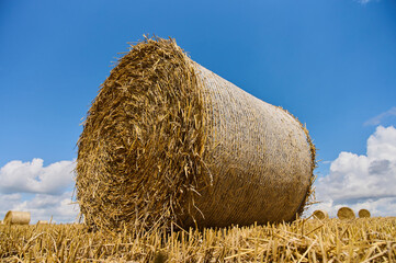 A large round hay bale sits in a golden field under a clear blue sky, showcasing a peaceful rural setting. © Микола Бордужак