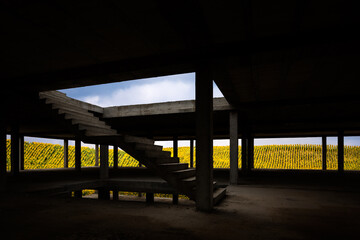 Unfinished building in sunflower fields under a blue sky