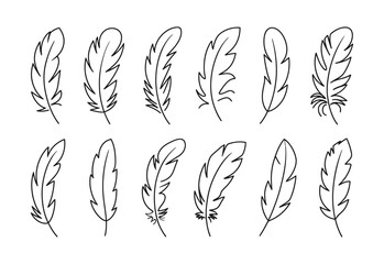 Collection of simple black line art drawings of various feathers on a white background