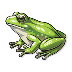 green frog vector on white background