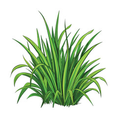 green grass isolated vector