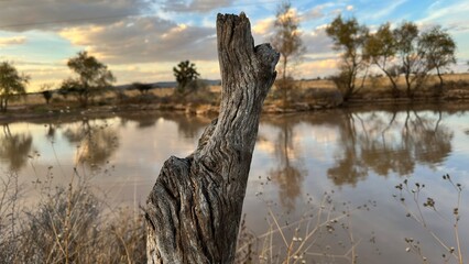 paisaje de semi-desierto