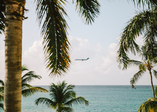 Plane approaching landing over tropical beach with palm trees swaying under sunny sky