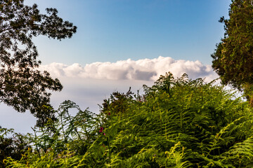 Paisaje en la Corujera, Isla de Tenerife.