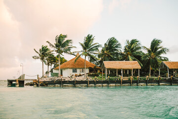 Tropical beachfront huts surrounded by palm trees on a serene day near the ocean