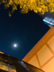 Bright full moon shines in the dark night sky above city buildings