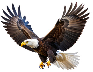 Obraz premium Realistic Bald Eagle in Flight with Wings Fully Spread and Sharp Eyes, Side View, Isolated on Transparent Background
