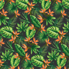 Tropical plants in a pattern.Vector seamless pattern with tropical vegetation on a gray background.