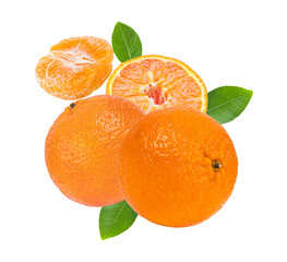 Mandarin or tangerine on transparent png (Image from camera)