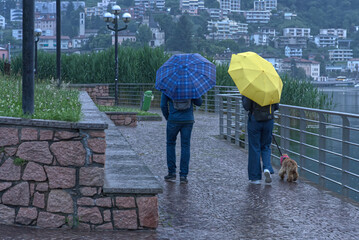 A couple with a dog walks by the lake in the rain.