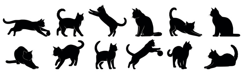 Set of silhouettes of cats on a white background. Vector illustration.