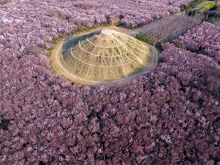 The Ming Dynasty Qin Princes' Mausoleums​​