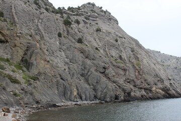 Grey Rocky Shoreline with Sparse Vegetation