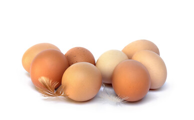 Farm brown eggs with feather on a white background with space for text. Rustic view