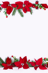 Christmas decoration. Flowers of red poinsettia, branch christmas tree, red berries with space for text on a white background. Top view, flat lay