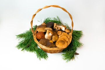 Porcino, honey mushrooms, imleria badia mushrooms in basket on a white background.