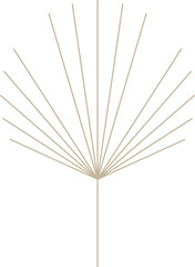 Monoline Geometric Palm Leaf 