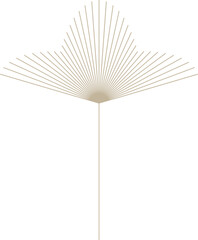 Monoline Geometric Palm Leaf 