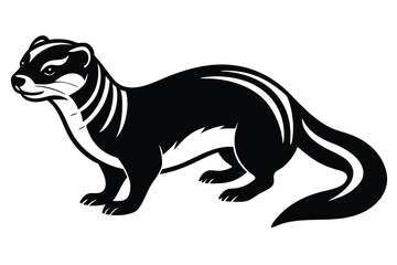 Black and white striped skunk stands alert with a confident gaze in solid color