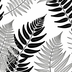 Obraz premium Black and White Fern Pattern Illustration-Elegant Botanical Design for Backgrounds and Wallpapers-Seamless Fern Leaf Texture for Modern Decor-Nature Inspired Art