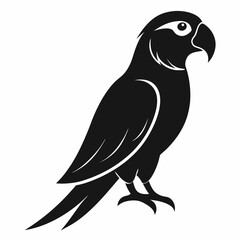 bird on a branch