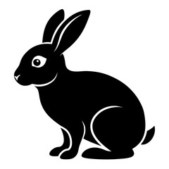 black and white rabbit