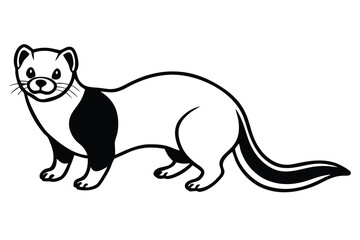 Simple black and white stoat stands in a relaxed pose showcasing its unique markings