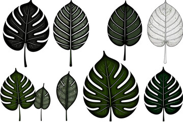 Fototapeta premium Tropical Leaves Illustration- Monstera Leaf Art- Botanical Decor- Lush Foliage Design- Green Leaf Pattern- Nature Inspired Art-Leaf Design for Interior