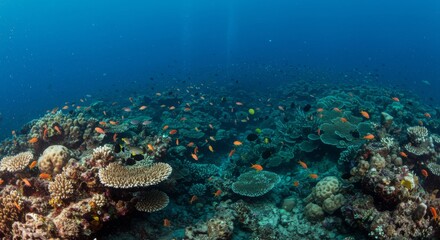 The underwater marine ecosystem is filled with diverse reef structures and wildlife.