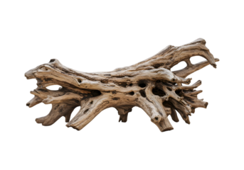 Driftwood Sculpture Nature's Art