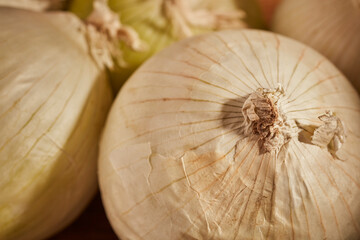 Whole, raw, white onions. A typical ingredient in Mexican cookery