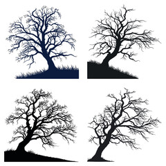 Majestic Winter Tree Silhouettes A Collection of Bare Branch Illustrations