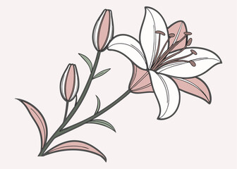 Elegant Botanical Blossom: A Detailed Watercolor & Vector Illustration of a Vibrant Floral Bouquet, Wildflower, and Decorative Bloom for Spring, Garden, and Nature-Inspired Designs