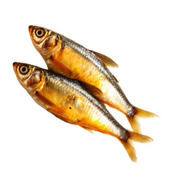 [Transparent Background PNG]Smoked Fish Pair Close-Up