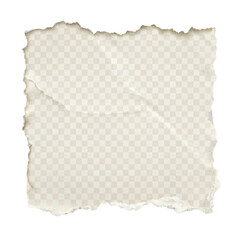 Obraz premium old torn paper