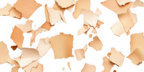 Scattered eggshell fragments pattern on transparent background