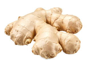 Fototapeta premium Whole Ginger Root Isolated on Transparent Background