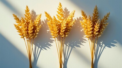 Golden Wheat Stalks with Shadows on Wall
