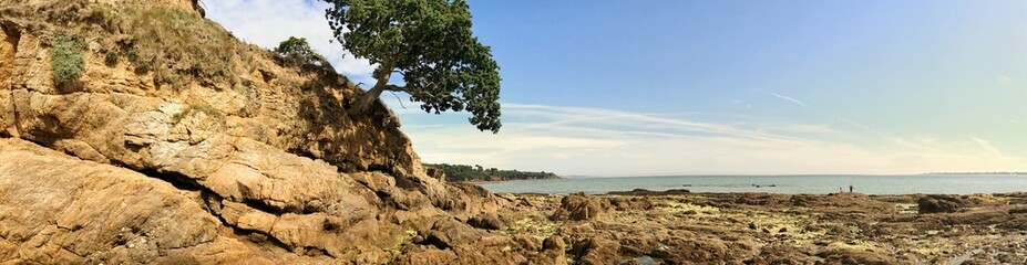 Rocky coastal panorama with tree and blue sky in scenic landscape header format