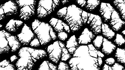 Obraz premium Rocky surface texture
