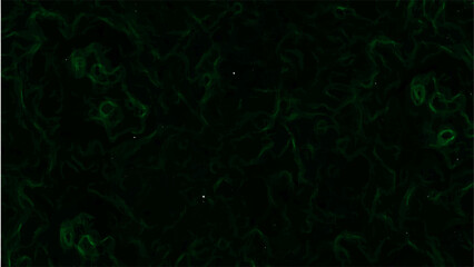 Abstract dark texture with intricate, swirling green lines with cloudy, organic pattern. Black, with neon green filaments to glow faintly. Sense of energy, mystery, and fluidity, smoke trails, cosmic 