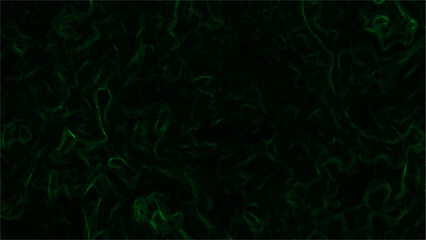 Abstract dark texture with intricate, swirling green lines with cloudy, organic pattern. Black, with neon green filaments to glow faintly. Sense of energy, mystery, and fluidity, smoke trails, cosmic 