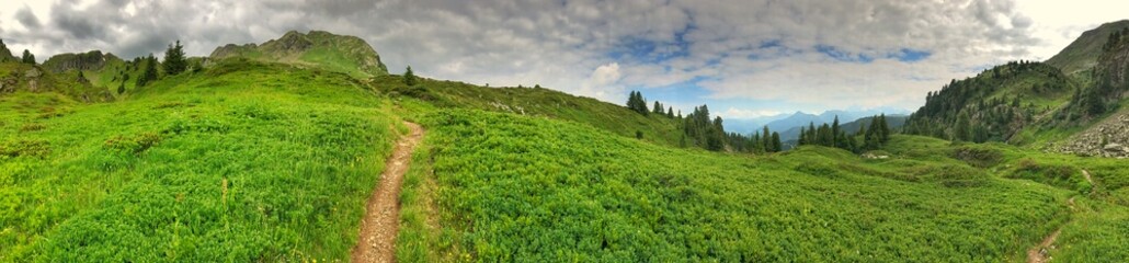 Wide panoramic view of green alpine landscape with mountains and pathway