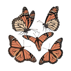 butterflies flying icon set, butterfly spreads its wings and is ready to fly isolated vector illustration on white background