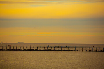 muelle