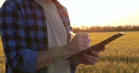 Close-up of male farmer holding pen and clipboard, writing notes during crop inspection in wheat field at sunset. Concept of agricultural documentation, crop control, and farm work. © julia_diak